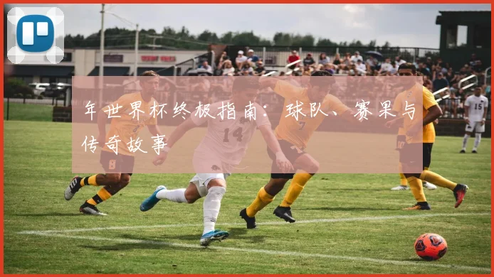 年世界杯终极指南：球队、赛果与传奇故事