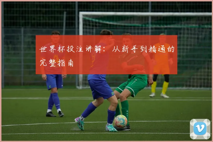 世界杯投注讲解：从新手到精通的完整指南
