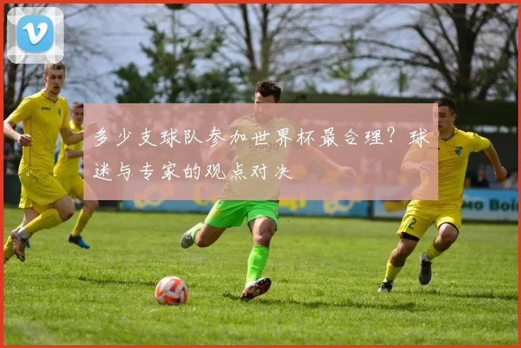 多少支球队参加世界杯最合理？球迷与专家的观点对决