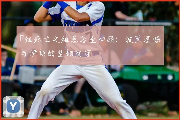 F组死亡之组悬念全回顾：波黑遗憾与伊朗的坚韧防守