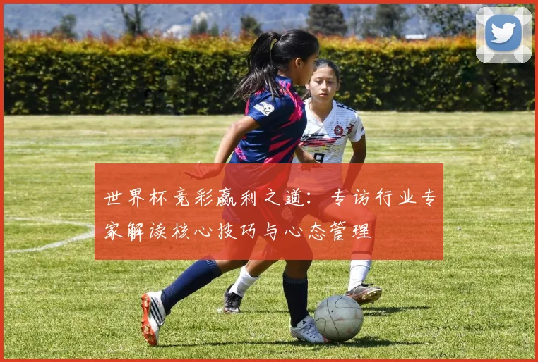 世界杯竞彩赢利之道：专访行业专家解读核心技巧与心态管理