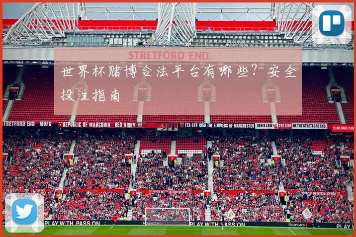世界杯赌博合法平台有哪些?安全投注指南