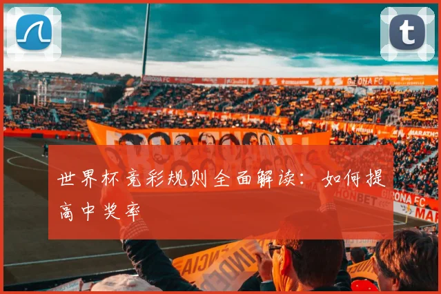 世界杯竞彩规则全面解读：如何提高中奖率