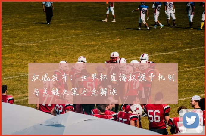 权威发布：世界杯直播权授予机制与关键决策方全解读